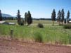 ViewFromProperty2